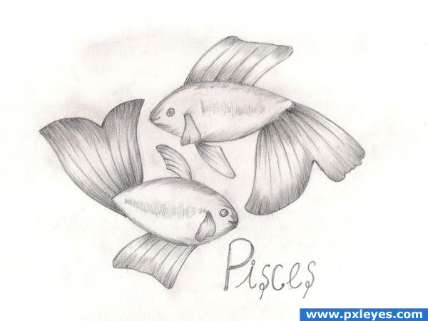 Creation of Pisces: Final Result